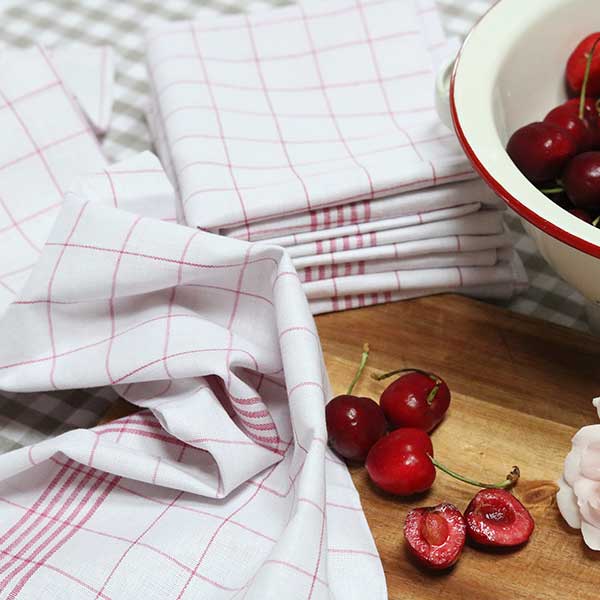 Blog_Richtige-Reiningung-der