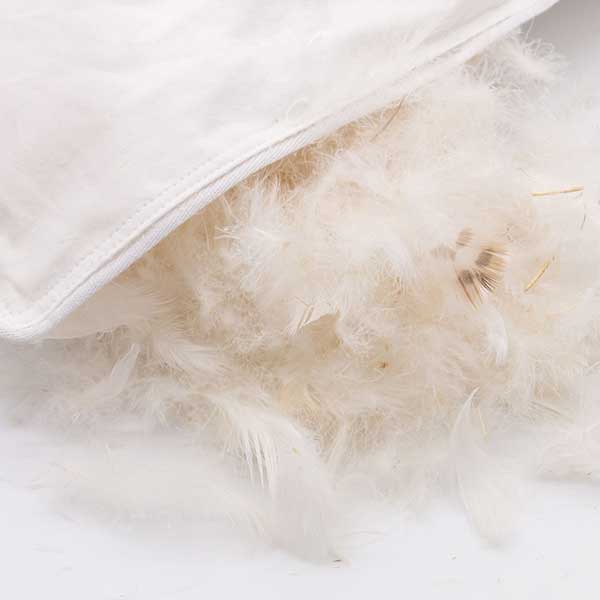 Blog_Die-besten-Kissenfüllungen